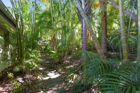 Palm Trees Noosa - Accommodation Newcastle 6