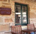 Lavender Cottage B  B - Accommodation Newcastle