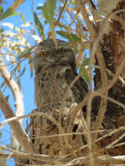 Kalbarri Tudor Holiday Park - Accommodation Newcastle 3