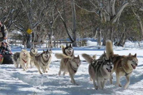 Gundy Lodge - Accommodation Newcastle 5