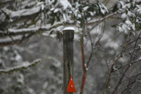 Gundy Lodge - Accommodation Newcastle 3