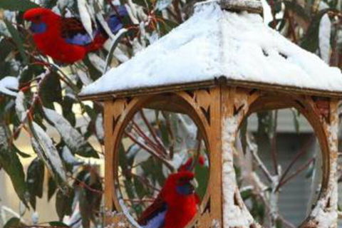 Gundy Lodge - Accommodation Newcastle 6