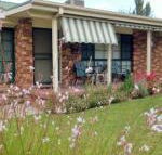Butterfly Cottage - Accommodation Newcastle