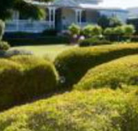 Whiskey Gully Wines - Accommodation Newcastle