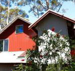Pelicans at Denmark - Accommodation Newcastle