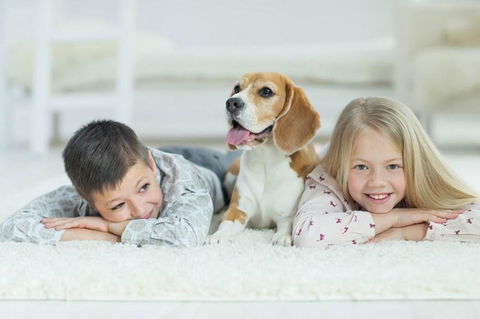 BOUTIQUE STAYS - Hampton Lookout - Accommodation Newcastle 2