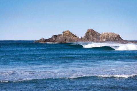 Byron Hinterland Farm Minutes To Everything! - Accommodation Newcastle 4