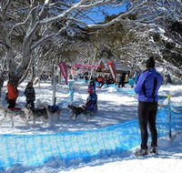 Cloud 9 Alpine Lodge - Accommodation Newcastle