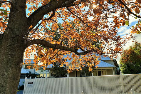 Healesville House - Magnolia House - Accommodation Newcastle 1