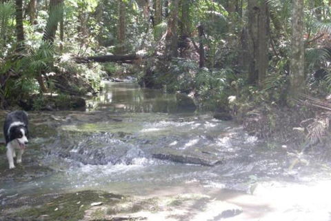 Stay At LP Montville - Accommodation Newcastle 4