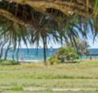 Pandanus on Emerald - Accommodation Newcastle