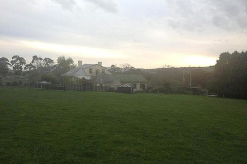 Walnut Cottage - Accommodation Newcastle 5