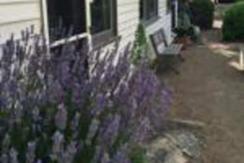 Walnut Cottage - Accommodation Newcastle 0