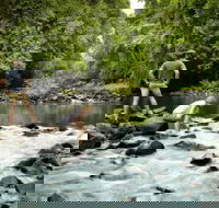 Sharlynn by the River - Accommodation Newcastle