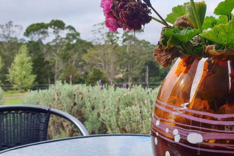 Lockleigh Park - Accommodation Newcastle 6