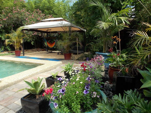 Hidden Oasis - Accommodation Newcastle 4