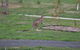 Nyora Lodge B & B - thumb 7