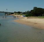 Black Dolphin Waterfront Apartment - Accommodation Newcastle