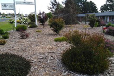 Altona Motel - Accommodation Newcastle 0