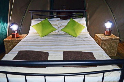 Nulla Nulla Farm Retreat - Accommodation Newcastle 7