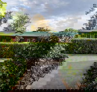 The Grapevine Motel - Accommodation Newcastle
