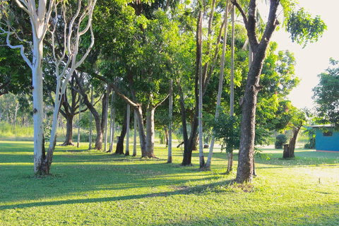 Banyan Tree Resort - Accommodation Newcastle 2