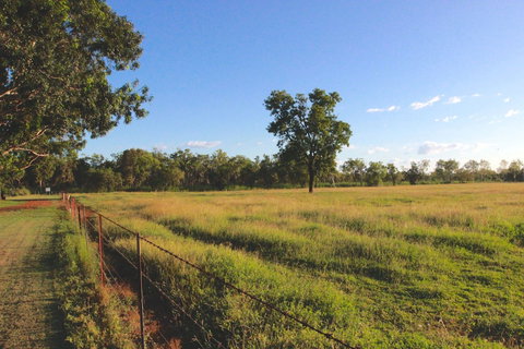 Banyan Tree Resort - Accommodation Newcastle 1