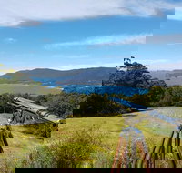 Eaglehawk Rainforest Retreat - Accommodation Newcastle