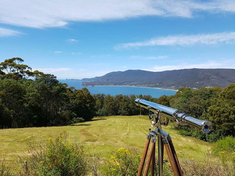 Eaglehawk Rainforest Retreat - Accommodation Newcastle 0
