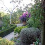 Eltham South Lodge - Accommodation Newcastle 1