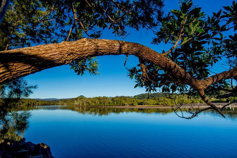 Reflections Holiday Parks Ferry Reserve - Accommodation Newcastle 4