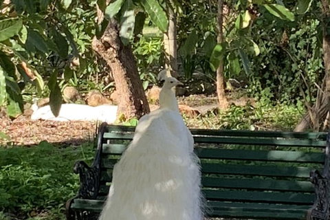 Bungala House 1856 - Accommodation Newcastle 4