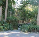 Avoca Park - Accommodation Newcastle