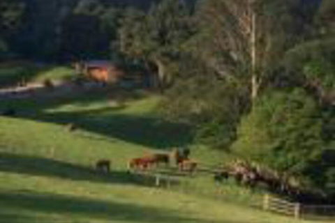Amaroo Valley Springs - Accommodation Newcastle 0