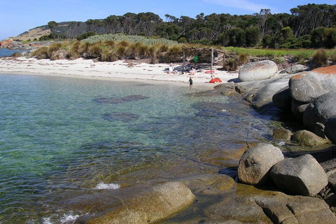 Sawyers Bay Shacks - Accommodation Newcastle 4