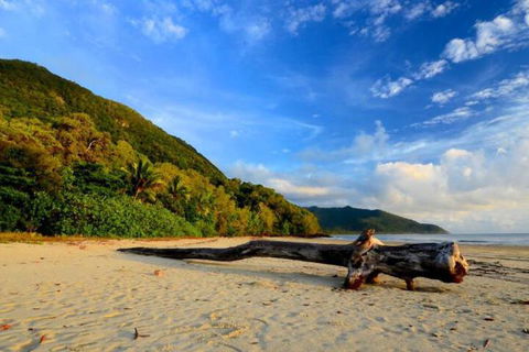 Daintree Rainforest Beach House - Accommodation Newcastle 7