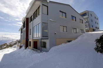 Lawlers 31 - Accommodation Newcastle 0