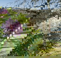 Wentworth Rose - Accommodation Newcastle