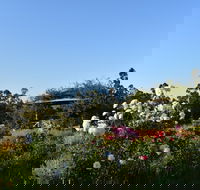 Labertouche Gypsy Creek Winery - Accommodation Newcastle