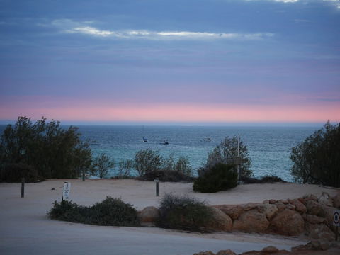 Denham Seaside Caravan Park - Accommodation Newcastle 1