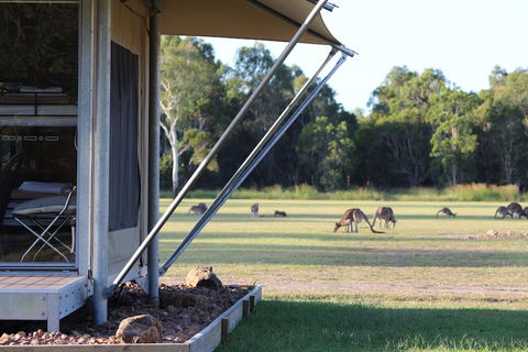 Habitat Noosa - Accommodation Newcastle 3