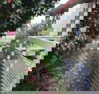 The Glen Family House - Accommodation Newcastle