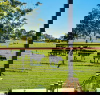 Curra Homestead Maleny - Accommodation Newcastle