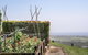 A PERFECT STAY - Pacific Ridge - thumb 2