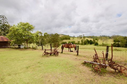 Country Breeze Farm Stay - Accommodation Newcastle 1