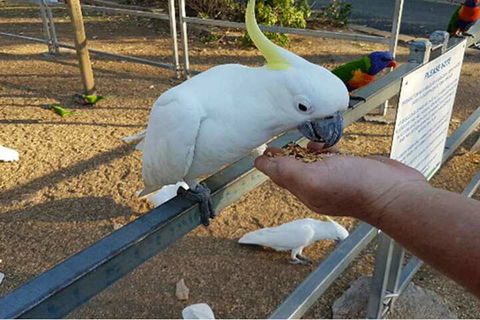 BIG4 Cania Gorge Holiday Park - Accommodation Newcastle 3
