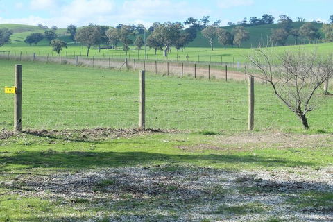 Yea Cabin Bunkhouse - Accommodation Newcastle 2