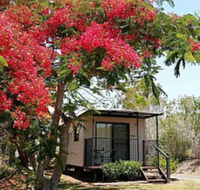 Mt Larcom Tourist Park - Accommodation Newcastle