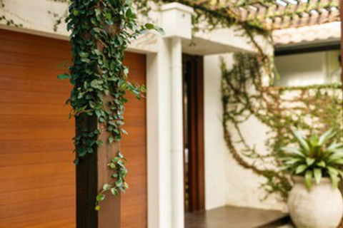 ESPRIT 2 PALM COVE BRAND NEW - Accommodation Newcastle 0