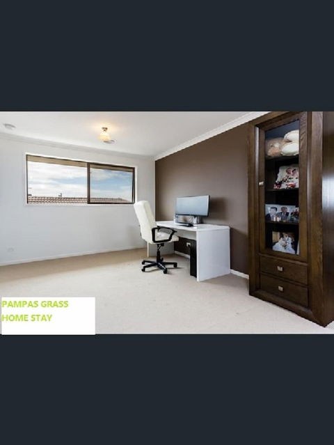 Pampas Grass Homestay - Accommodation Newcastle 4